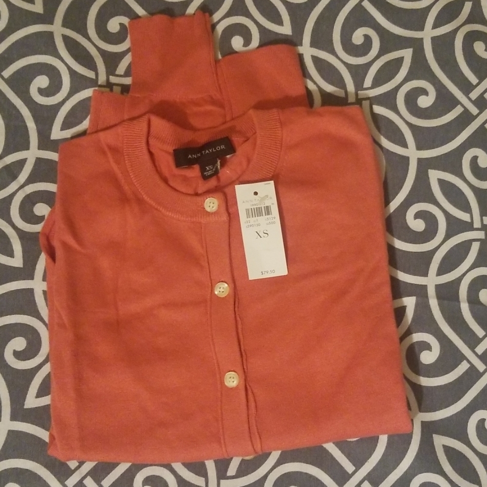 Ann Taylor Sweater